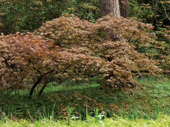 Bois des Moutiers (69) Mai 2012
